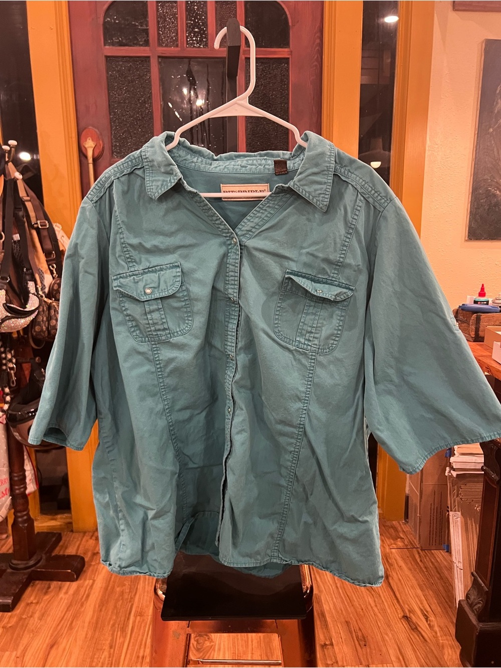 Bit & Bridle Teal Short-Sleeve Button-Down Workshirt